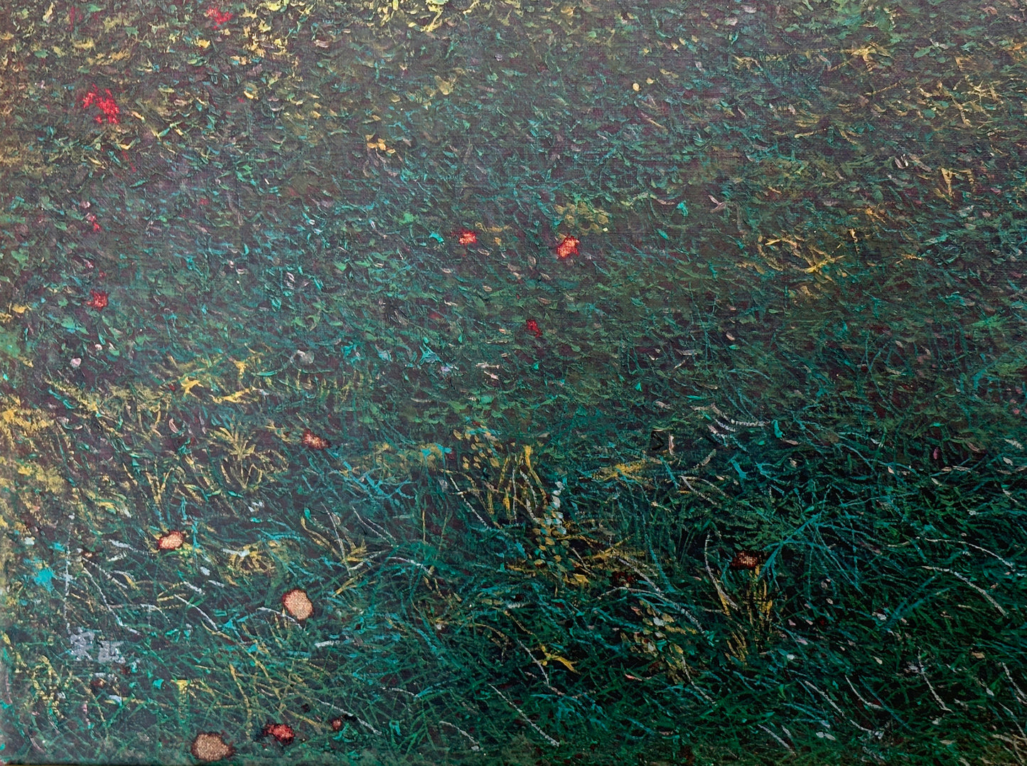 Grassland