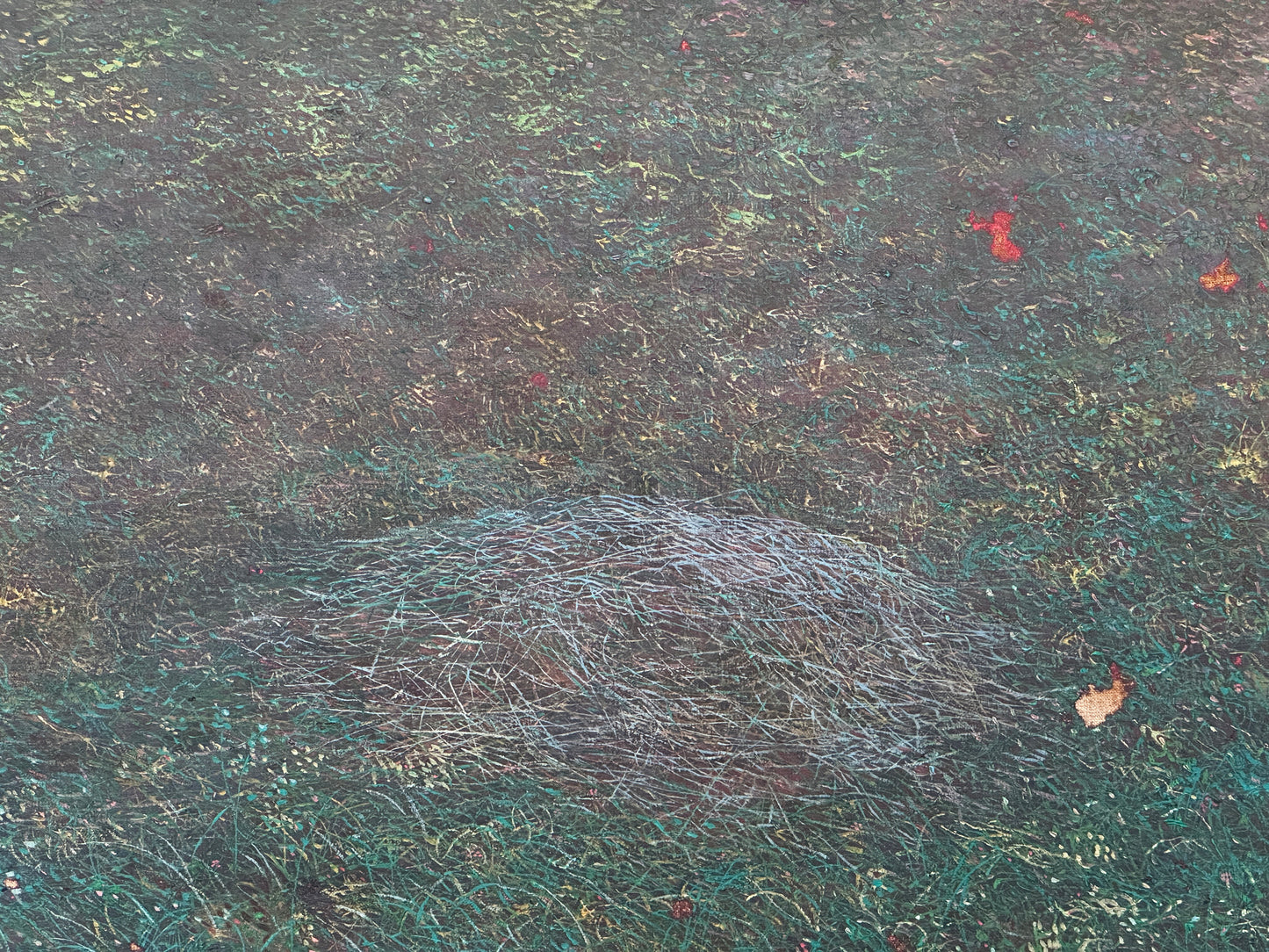 Grassland